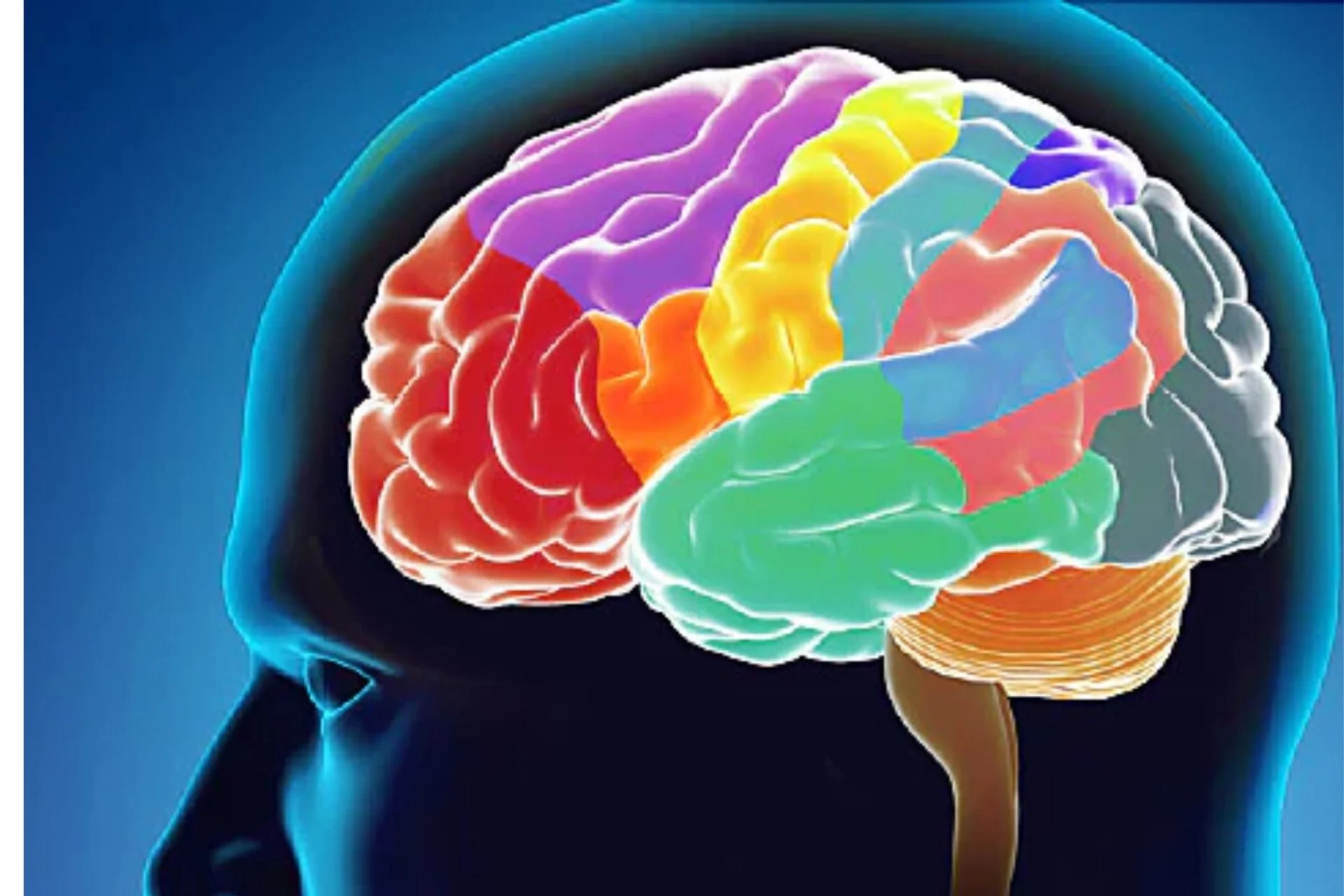 Get To Know Symptoms Of The Brain Tumour For Safety...!
