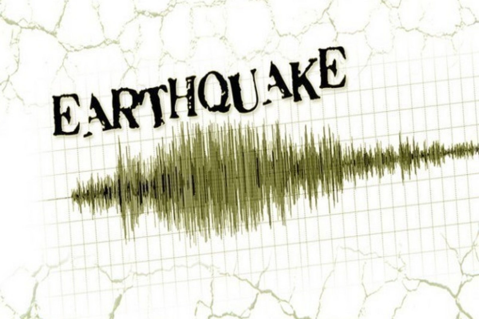 4.6 Magnitude Earthquake At Arunachal Pradesh..!