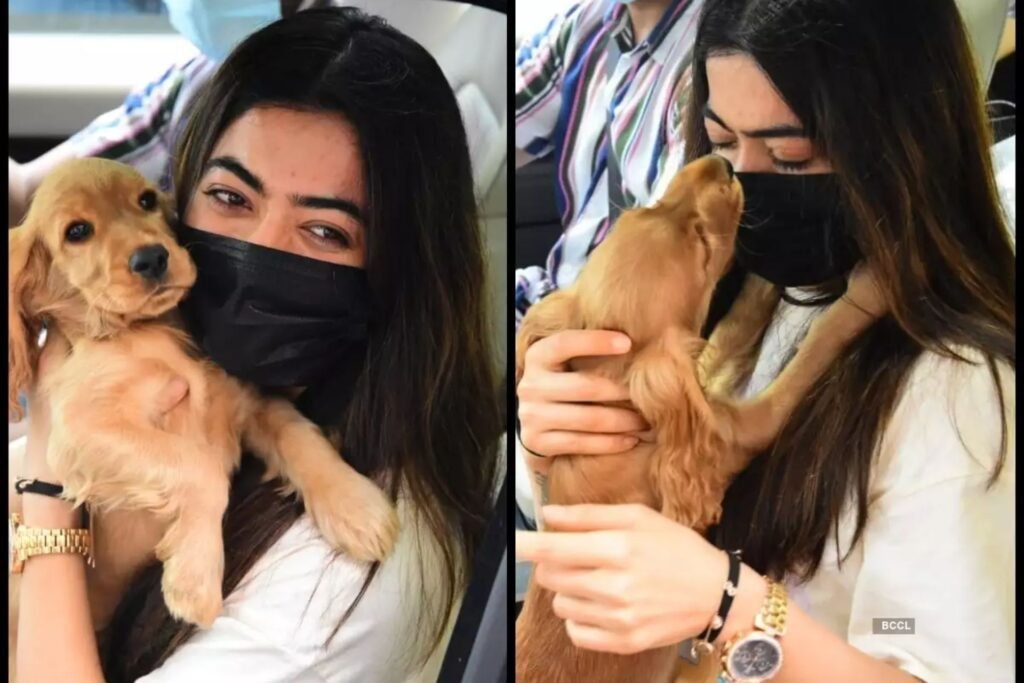 Rashmika Mandanna Steps Out With Her Dog….!