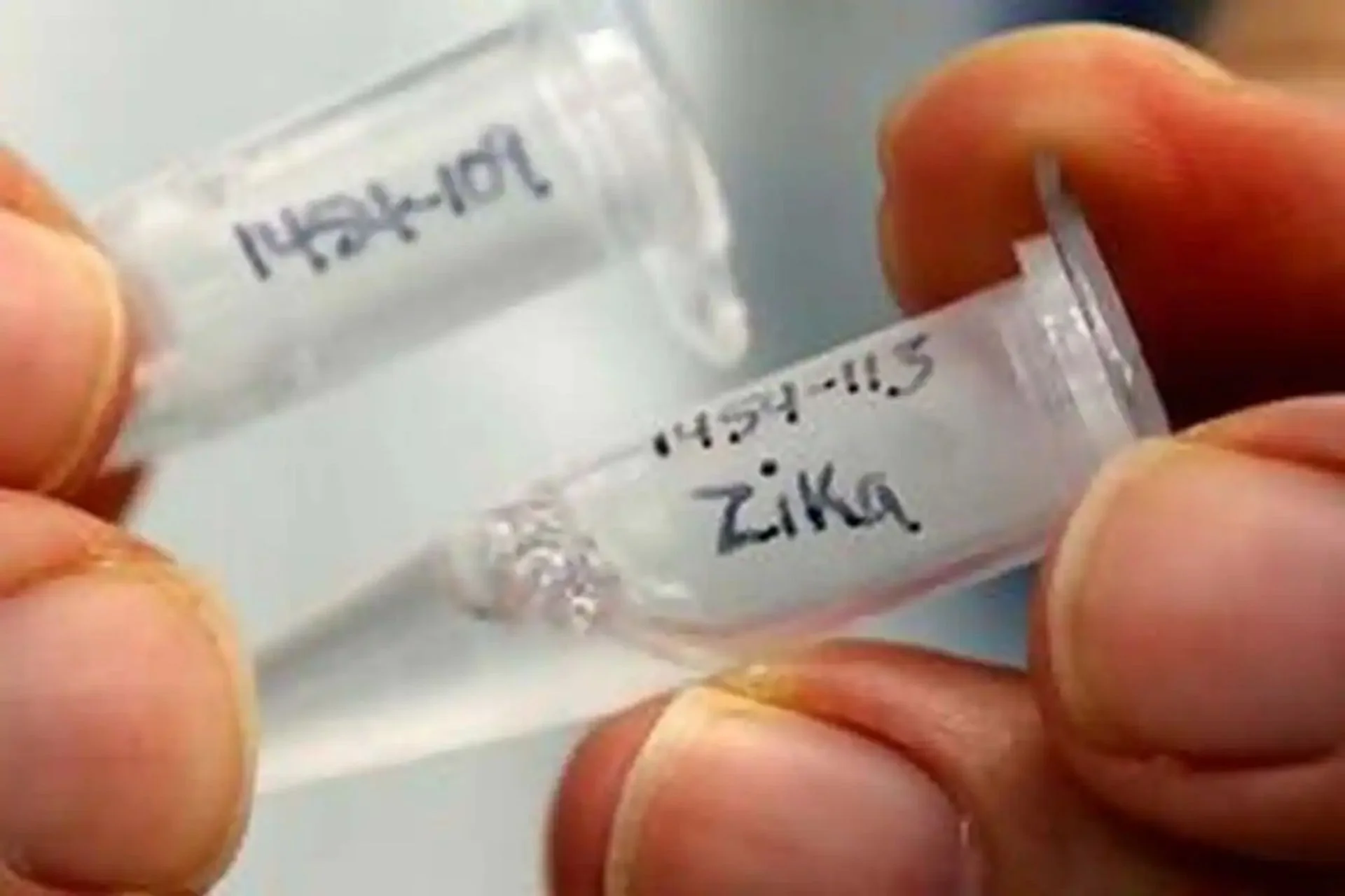 Kerala Has Seen Increase In Zika Virus Cases, Bringing Total To 28