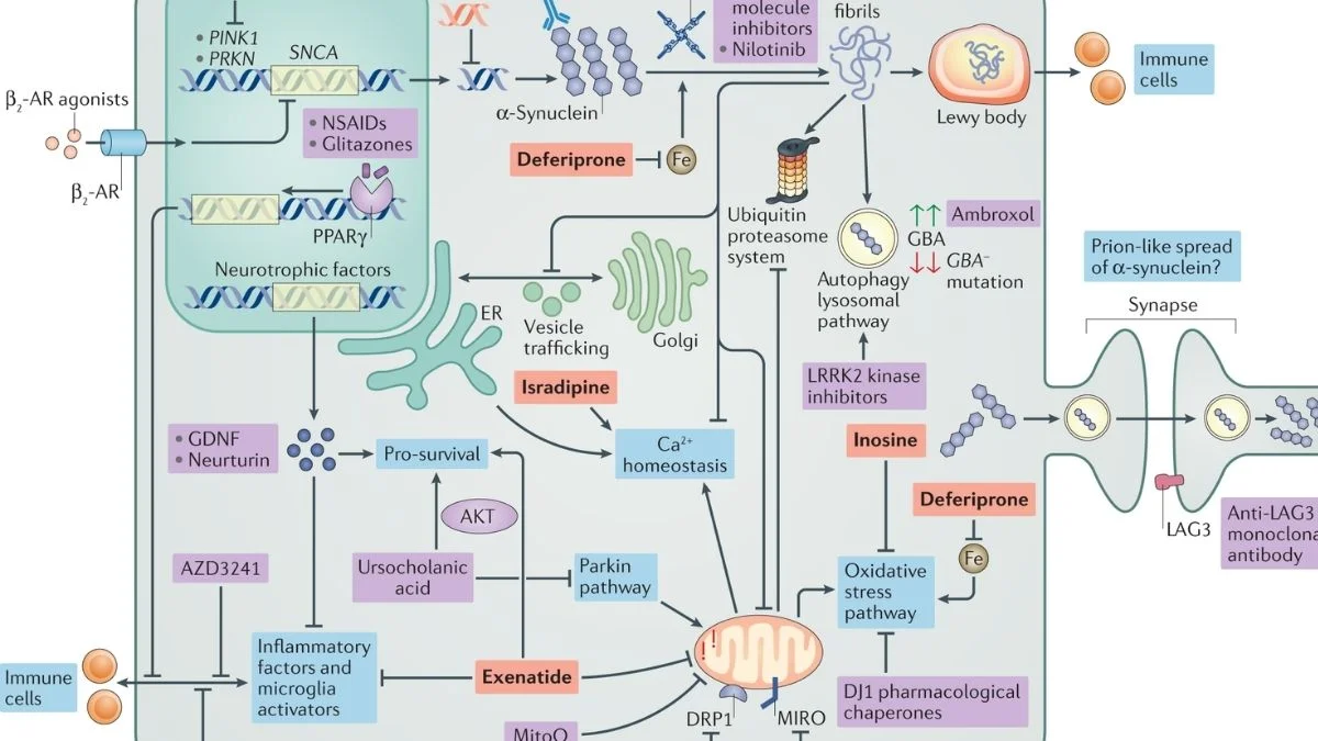 Parkinson's disease