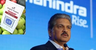 Billionaire Industrialist Anand Mahindra Experiences Digital Rupee In Action