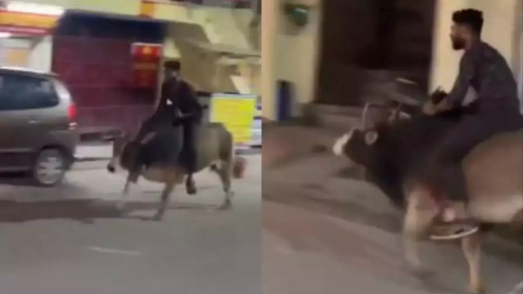 A viral video shows a young man riding a bull at full speed at night in Rishikesh, causing chaos and landing himself in legal trouble for animal mistreatment. Watch the video and read on to know more about the incident and the police's warning to the man.