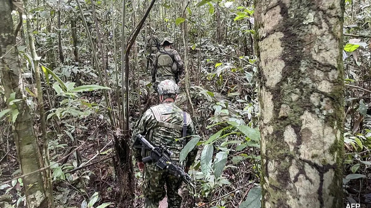 Colombian President Gustavo Petro shared the incredible news that four children, who had gone missing in the Amazon jungle after a plane crash, have been found alive after 40 days. Their survival is being hailed as a remarkable feat, and the nation rejoices at this extraordinary outcome.