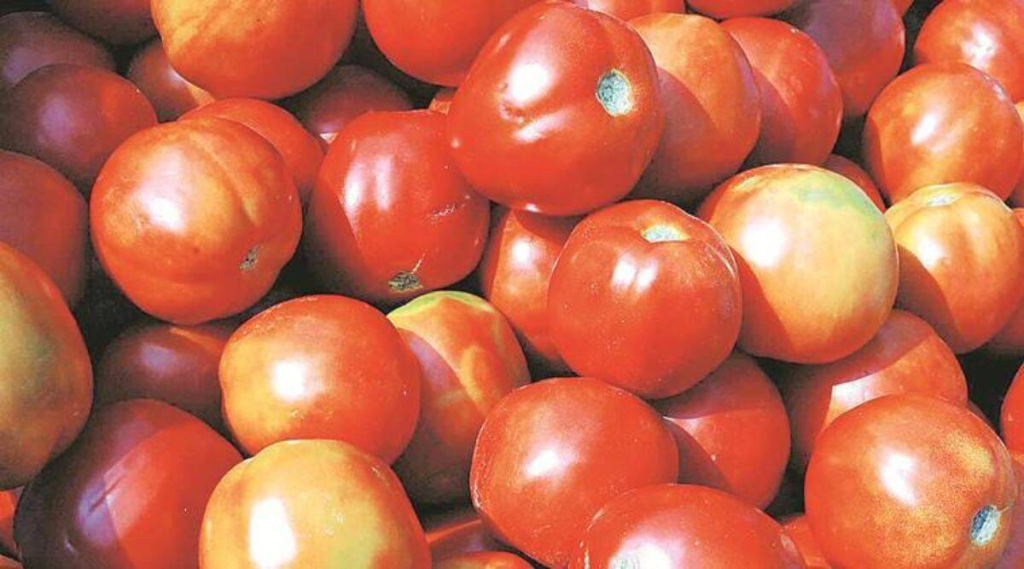 The surge in tomato prices, attributed to supply disruptions caused by heavy rainfall, has given rise to a hilarious meme-fest on social media. Take a look at some of the funniest and most creative memes capturing the frustration and humor surrounding the steep rise in tomato prices.