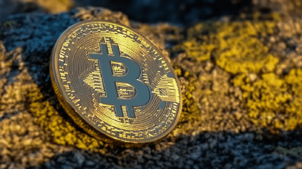 "Get the latest updates on cryptocurrency prices for August 28. Bitcoin remains above $26,000 while Ethereum, Dogecoin, Ripple, Litecoin, and Solana trade sideways. Explore the top gainers and losers, market cap, and expert insights on the current market scenario."