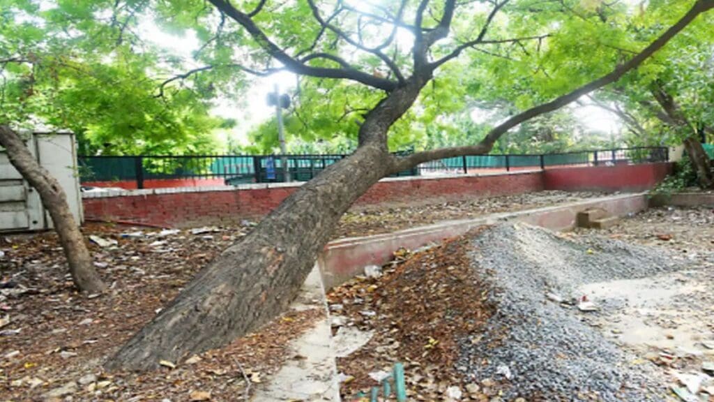 "The Delhi High Court, responding to a contempt plea, directs authorities to provide a clear timeframe for the de-concretisation of trees in Vasant Vihar, South Delhi. Stay informed about this crucial environmental initiative."
