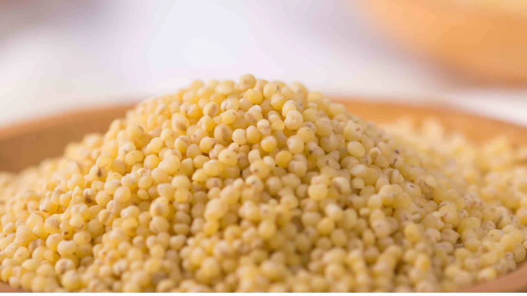 "Join us on a journey into the nutritional realm of foxtail millet as experts unravel its protein-rich profile. Are claims of it being the ultimate protein source justified? Let's delve into the expert insights."