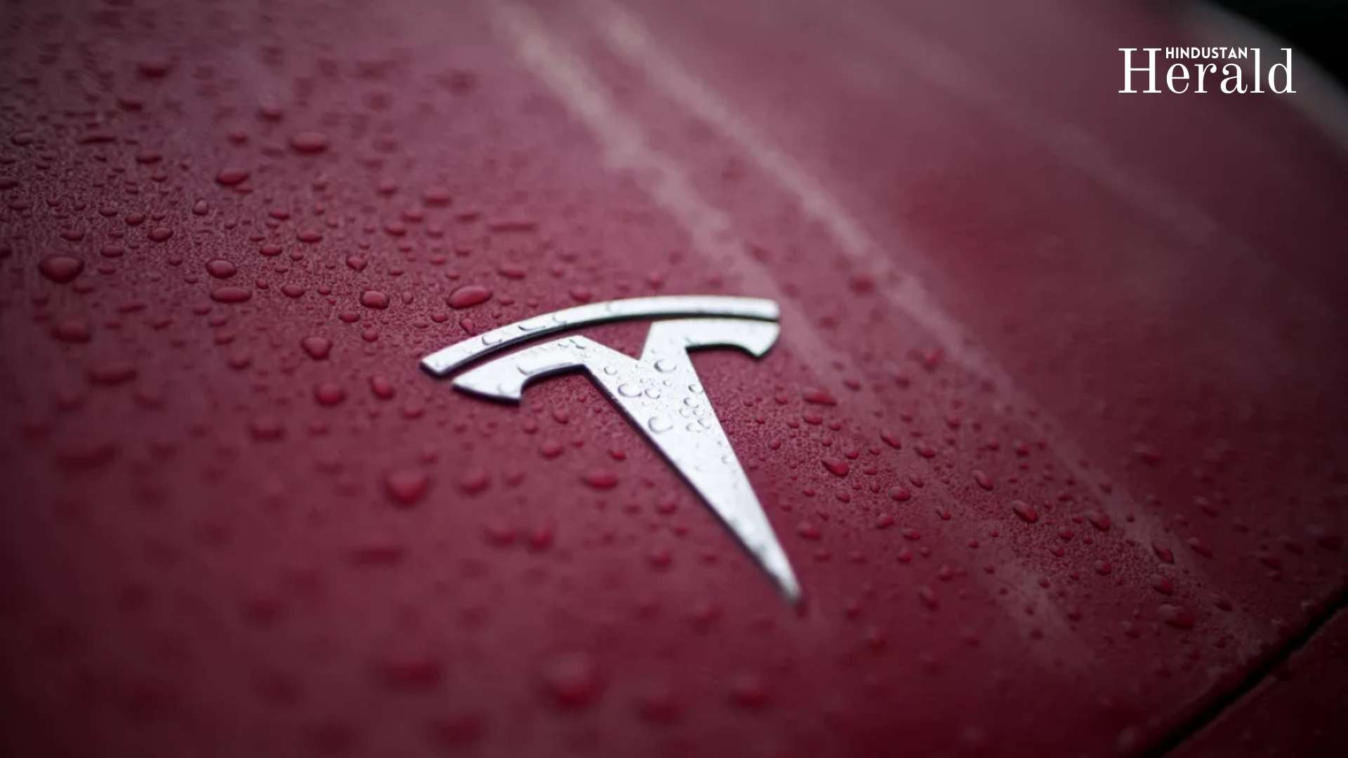 tesla stock price updates